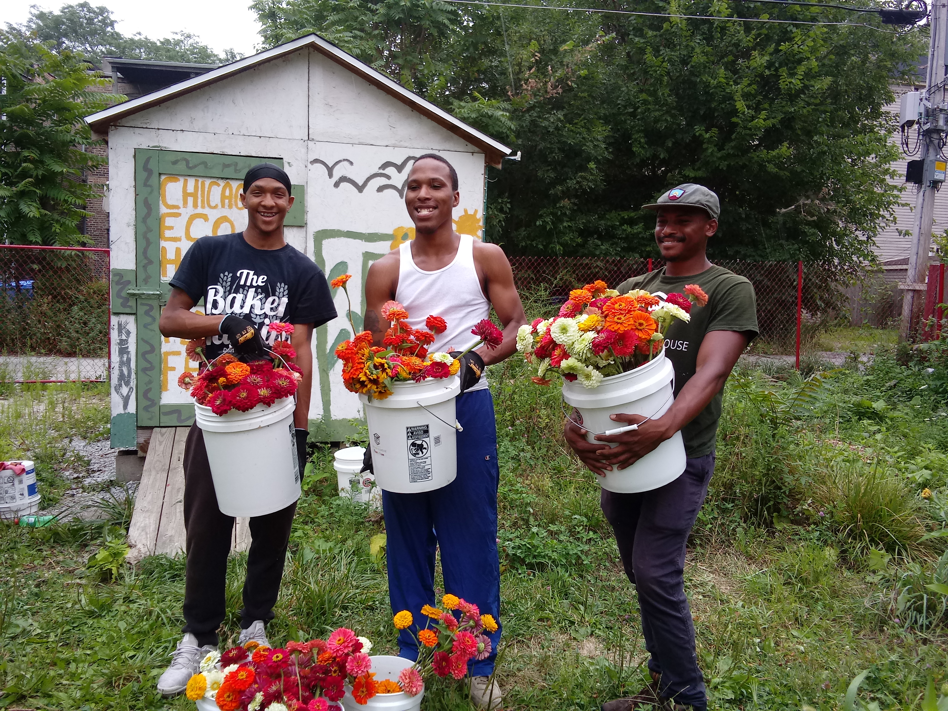flowerfarms
